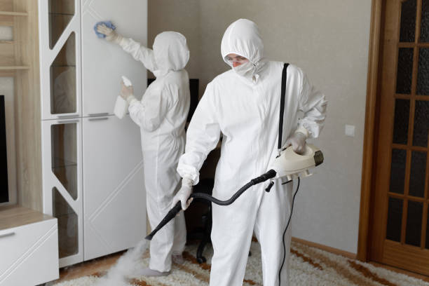 Trusted Sewage Cleanup service in Thornton, PA - Four Month Blood Cleanse